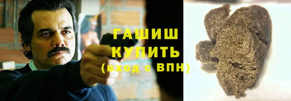 индика Осташков
