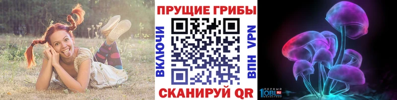 Псилоцибиновые грибы мицелий  Верхний Тагил 